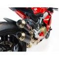 Competition Werkes GP RACE Slip-On Exhaust for the Ducati Panigale V4 / S / Speciale Competition Werkes GP RACE Slip-On Exhaust for the Ducati Panigale V4 / S / Speciale